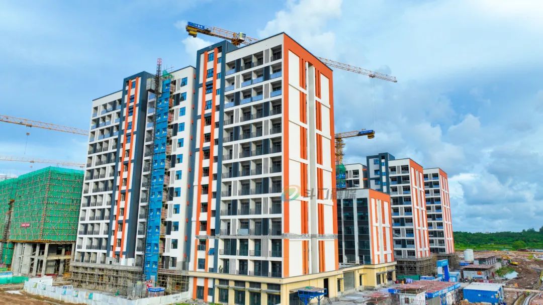 1722219815672079.jpg 4.jpg