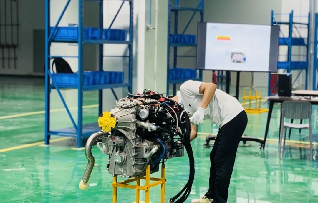 1729843332828308.jpg 5.jpg