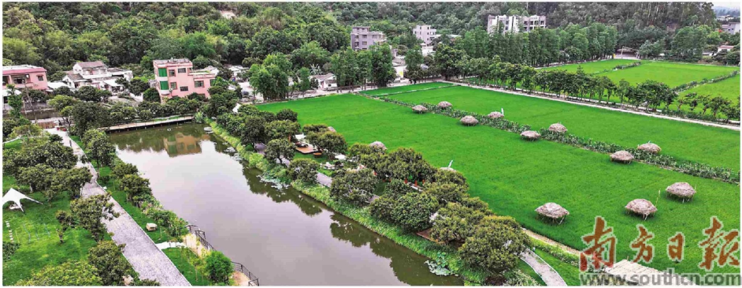  珠光集團(tuán)助力“百千萬工程” | “產(chǎn)業(yè)村官”下鄉(xiāng)“種”產(chǎn)業(yè)